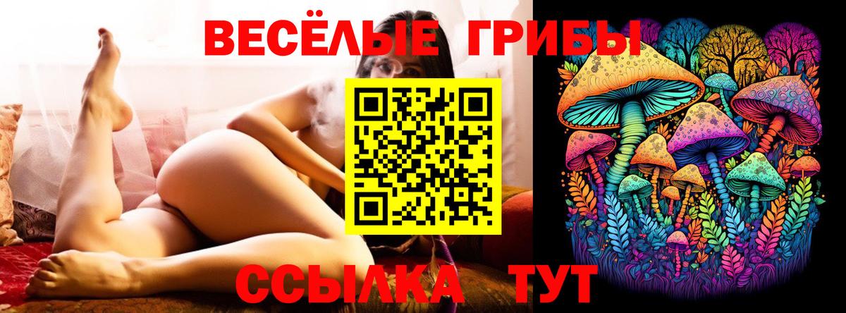 Псилоцибиновые грибы Magic Shrooms Тихвин