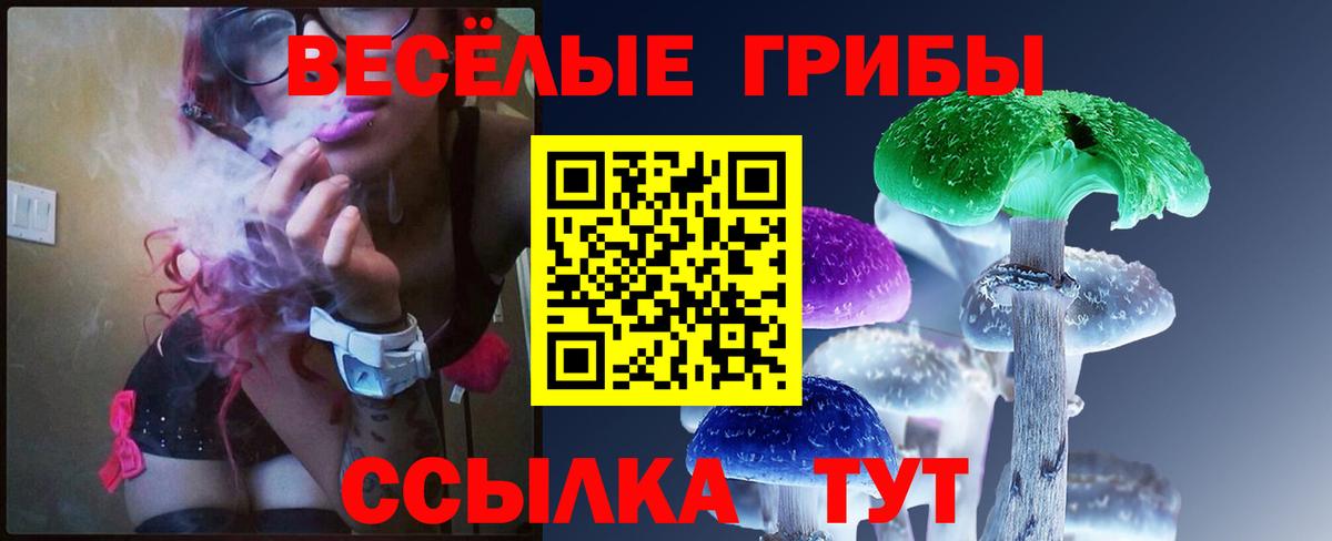 Галлюциногенные грибы Psilocybine cubensis  Вход с VPN  Тихвин  Псилоцибиновые грибы Magic Shrooms 